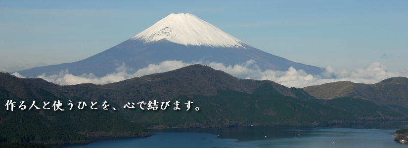 fuji1.png