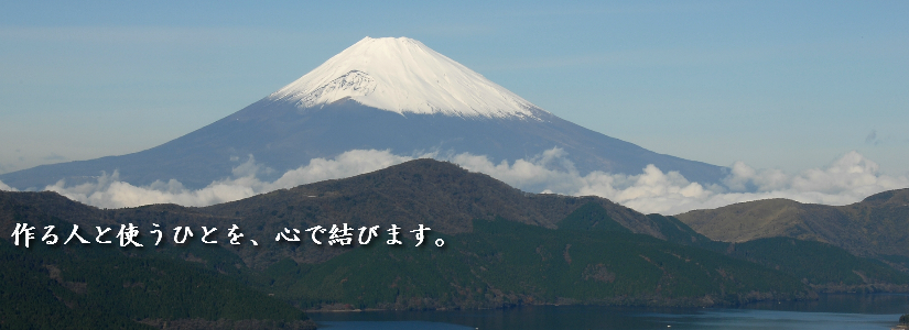 fuji2.png