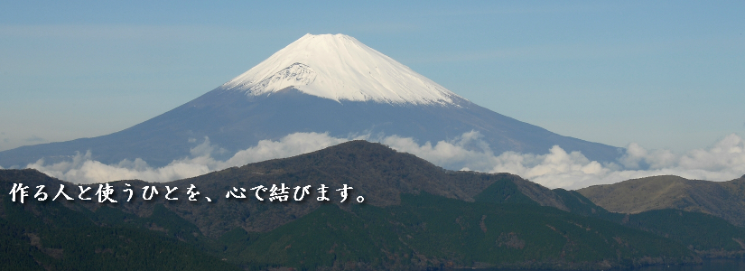 fuji3.png
