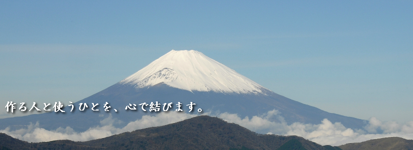 fuji4.png