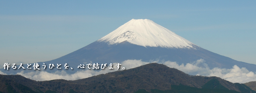 fuji5.png
